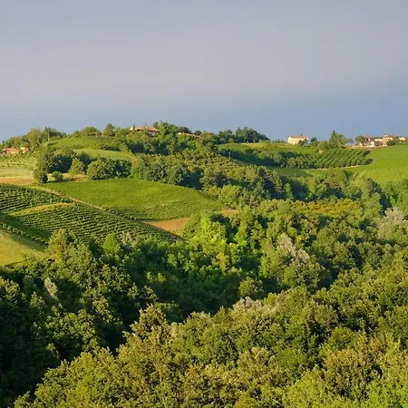 Ferrarotti Clavesana