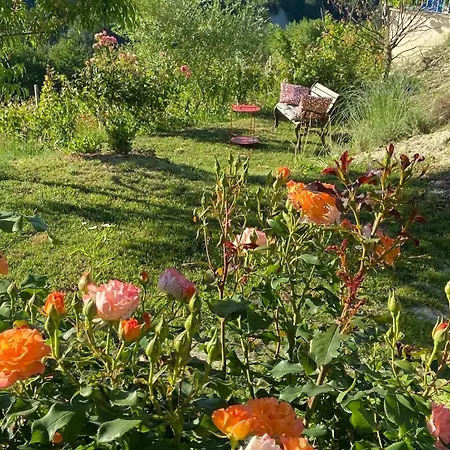 Guest house Ferrarotti Clavesana