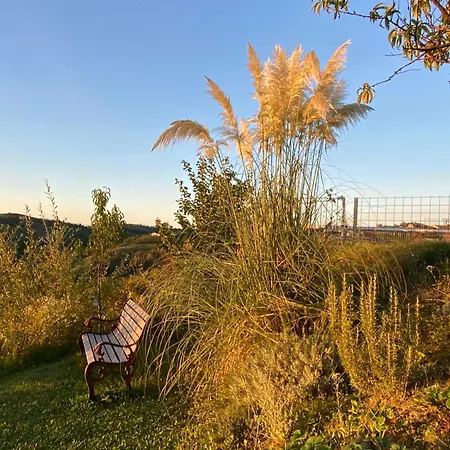 Ferrarotti Guest house Clavesana