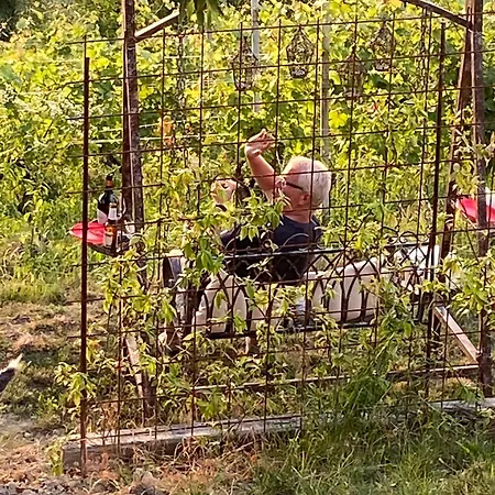 Affittacamere Ferrarotti 4*